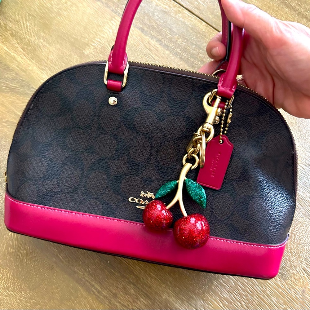 Coach 👜 mini sierra red signature color block red satchel purse